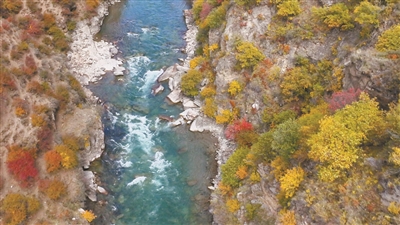 eabad12a-7537-47e0-a1ad-f95b35c25614.jpg.1.jpeg