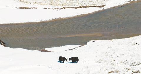 a15ac1c5-78be-4b03-89b0-749ea6ded25d.jpg.1.jpeg